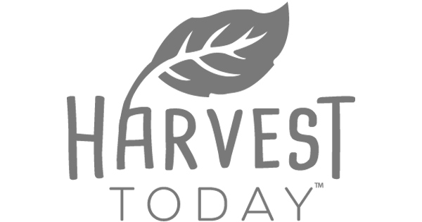 Harvest Today